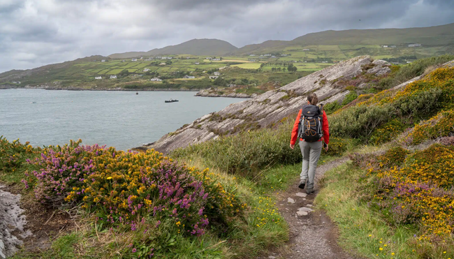 8-tägige individuelle Wanderung auf dem Kerry Way
