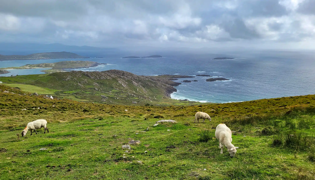 8-tägige komfortable Selbstwanderung auf dem Kerry Way