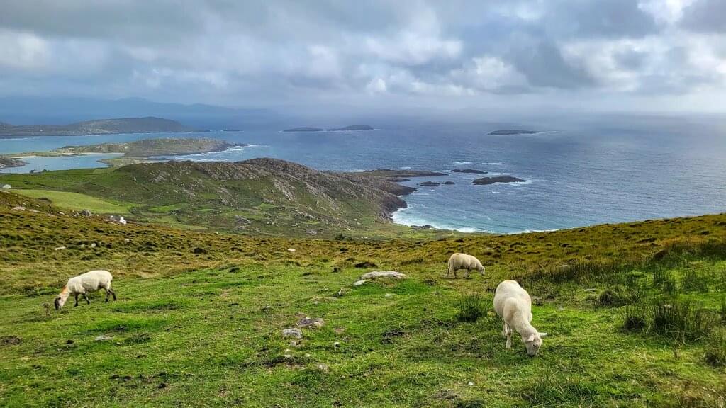 8-tägige komfortable Selbstwanderung auf dem Kerry Way