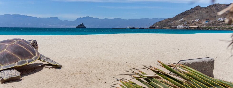 Bergwelt, Meteora-Klöster & Inselfeeling