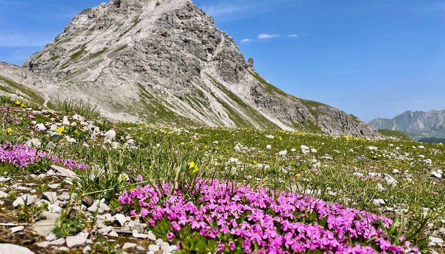 Leichte Alpenüberquerung vom Allgäu nach Südtirol mit Hotelkomfort