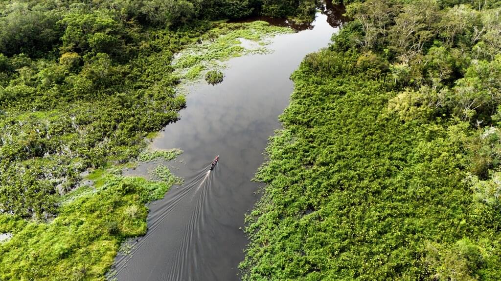 Ecuador - Waorani Experience