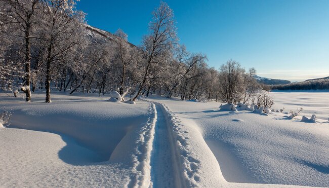 Schneeschuhwandern in Lappland - Die Berge & Wälder des Vindelfjällen