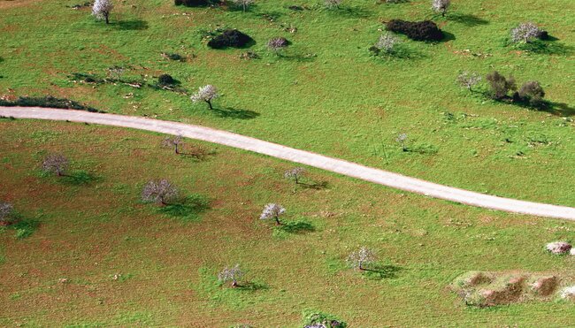 Sternfahrt Mallorcas Ostküste - Sandbuchten und Drachenhöhlen