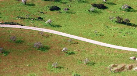 Sternfahrt Mallorcas Ostküste - Sandbuchten und Drachenhöhlen