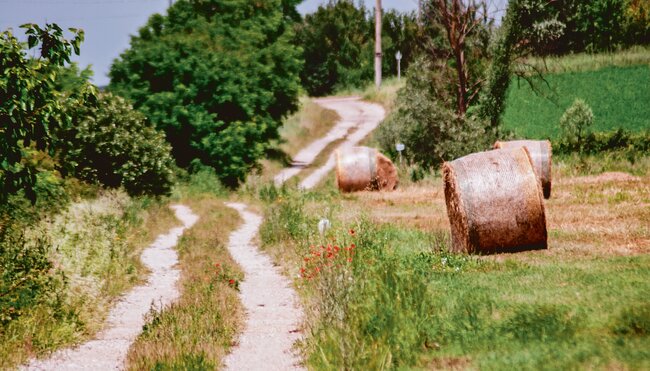 Via Francigena II - von Ivrea nach Pavia