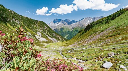 Alpenüberquerung von Alm zu Alm