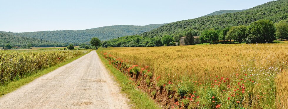 Via Francigena I - von Etroubles nach Ivrea