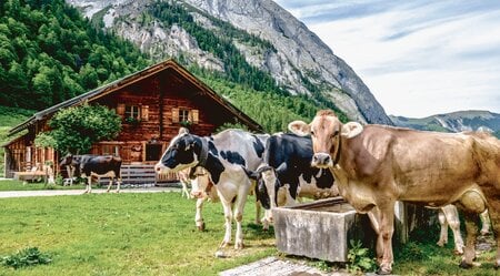 Alpenüberquerung individuell - von Alm zu Alm