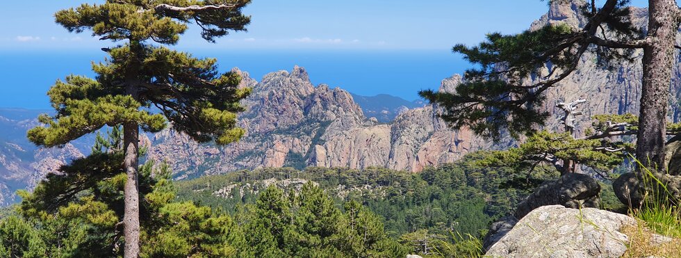 Korsika - Der südliche GR20