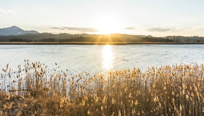 Bayern - Wandern rund um den Chiemsee
