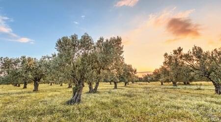 Lesbos - ursprünglicher Süden und grüner Osten