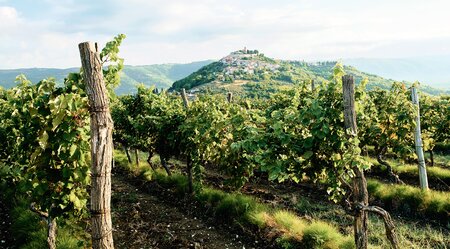 Wanderabenteuer durch das grüne Istrien 7 Tage