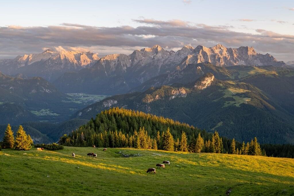 Salzburger Kalkalpen gemütlich erwandern