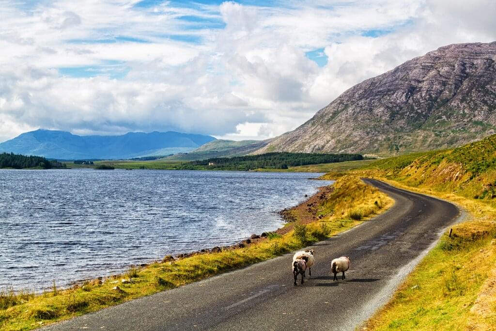 Zwischen Bergen und Meer: 7-tägige Wander- und Radtour durch Connemara 