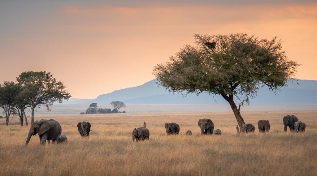 Tansania - Stammeskultur, Vulkane, Tierwelt & Strand