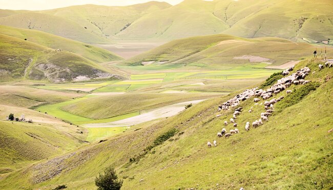 Süd Umbrien – Von Assisi nach Spoleto - Franziskusweg