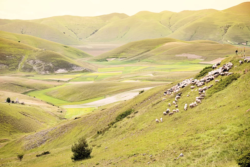 Süd Umbrien – Von Assisi nach Spoleto - Franziskusweg