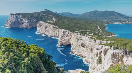 Wild auf Sardinien