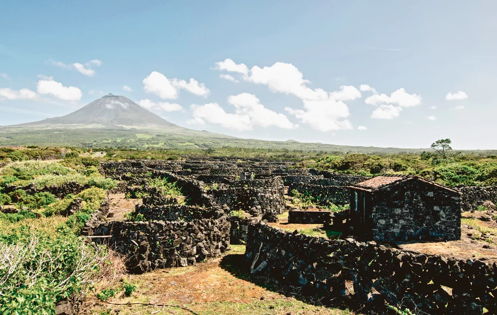 Portugal - Inselhüpfen im Azorendreieck