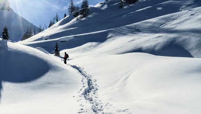 Winter- & Schneeschuhwandern in Tirol
