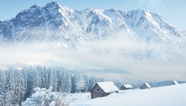 Winter- & Schneeschuhwandern am Mieminger Plateau