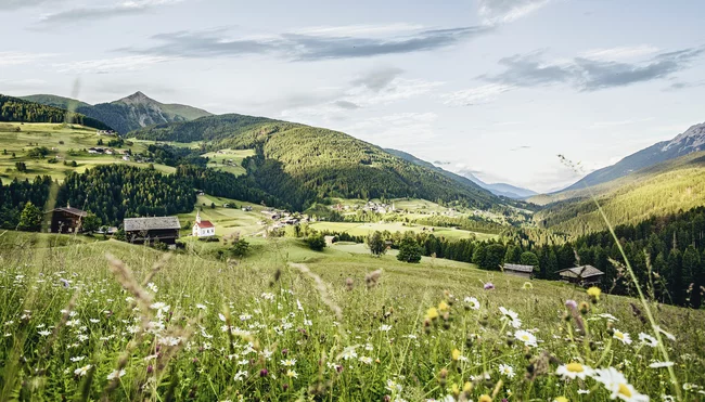 Kärnten: kulinarisch Wandern