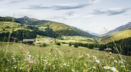 Kärnten - Kulinarisch wandern auf den Spuren der Slow Food-Philosophie