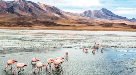 Chile, Bolivien, Peru - Von Atacama bis Machu Picchu