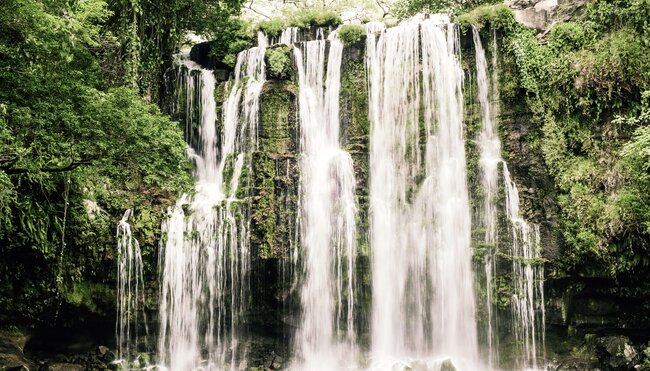 Costa Rica naturnah erwandern