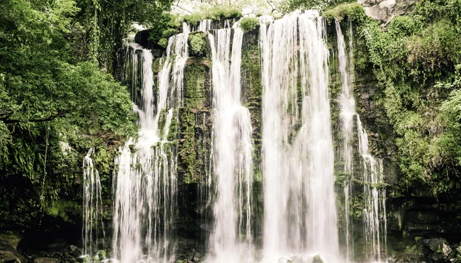 Costa Rica naturnah entdecken