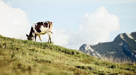 Alpenüberquerung vom Tegernsee nach Sterzing für Singles und Alleinreisende