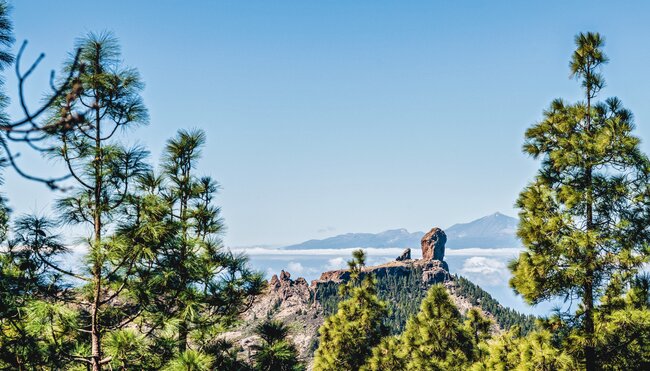 Gran Canarias Highlights erwandern