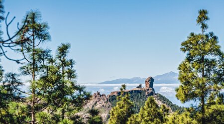 Gran Canarias Highlights erwandern