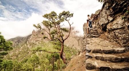 La Palma gemütlich erwandern