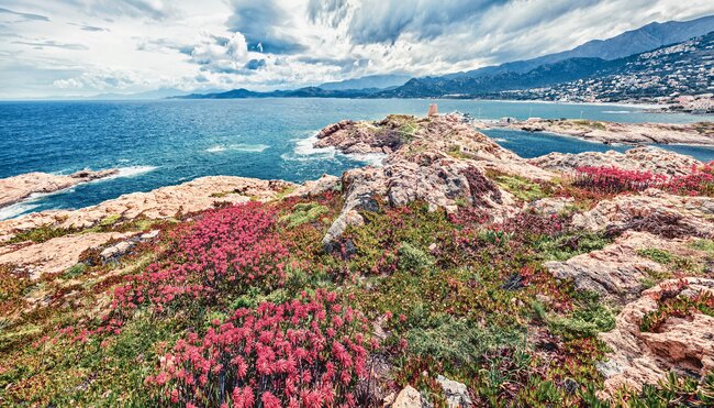 Korsika - Berge und Buchten rund um Calvi erwandern