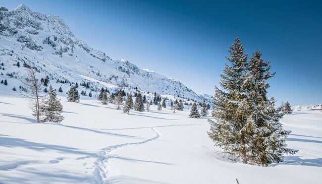 Berge, Sonne & Genuss: Schneeschuhwandern im Nationalpark Stilfserjoch