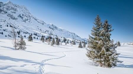 Berge, Sonne & Genuss: Schneeschuhwandern im Nationalpark Stilfserjoch