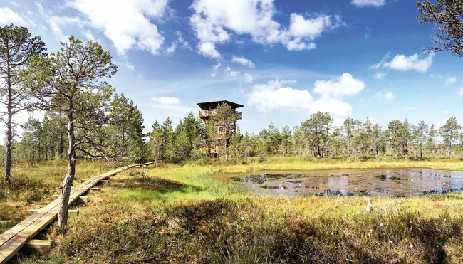 Das Baltikum gemütlich erwandern