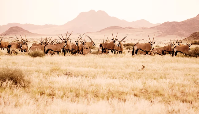 Namibia zum Kennenlernen