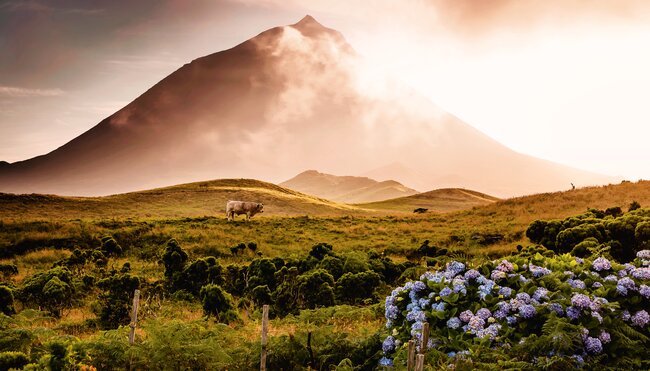 Inselspringen auf den Azoren