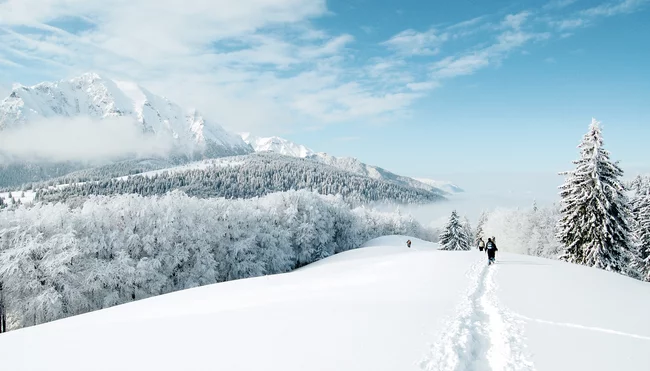 Schneeschuhwandern in Siebenbürgen