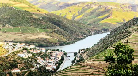 Kulinarische Reise ins Douro Tal