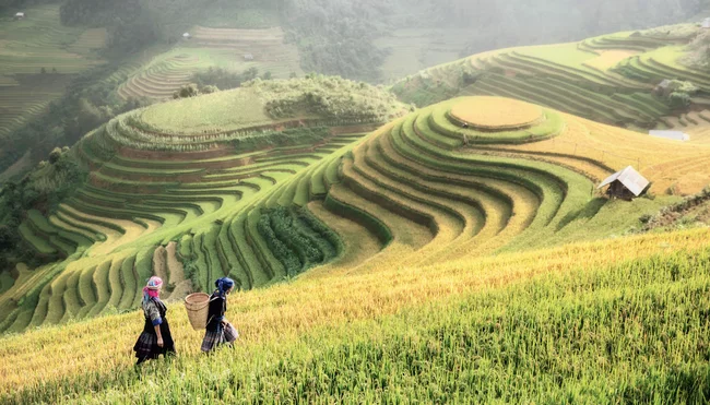 Vietnam und Kambodscha