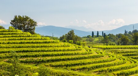 Italien - Doppelsternfahrt Friaul