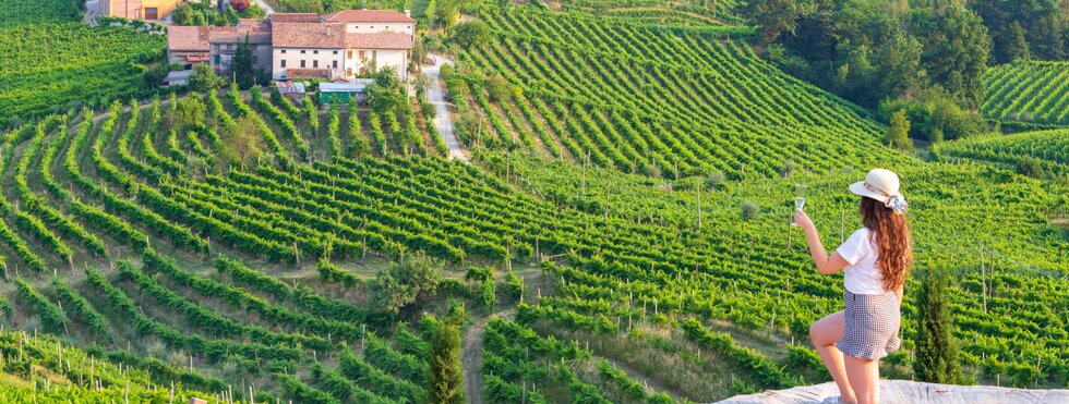 Weinberg Prosecco Valdobbiadene