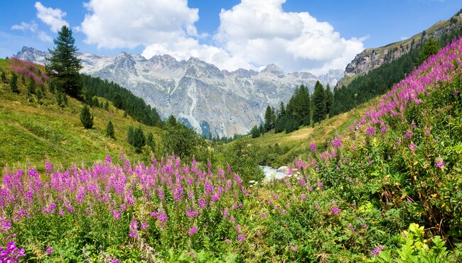 St. Moritz - Innsbruck - 7 Tage Radweg am oberen Inn