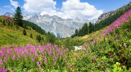 St. Moritz - Innsbruck - 7 Tage Radweg am oberen Inn