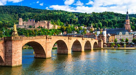 Winzertour am Rhein - Durch Weinreben zu den Kaiserdomen