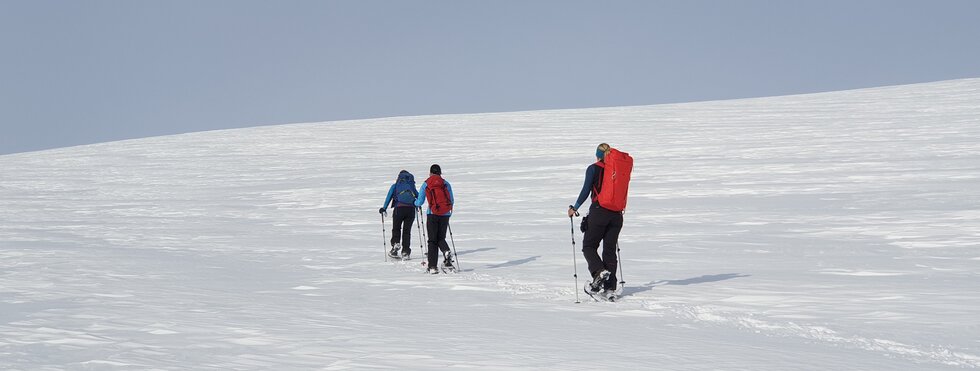 Lappland Winter